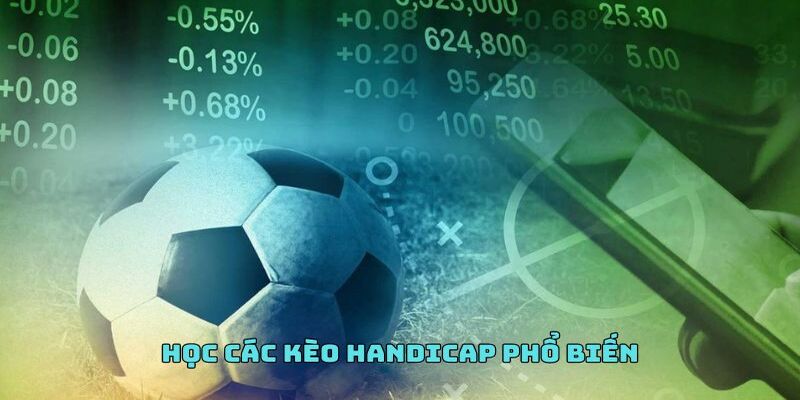 Các thể loại kèo handicap là gì?